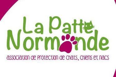 Patte Normande