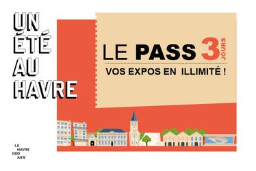 Un Pass 3 jours à 20 € pour toutes les expos d'Un Été au Havre 