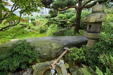 Jardin japonais