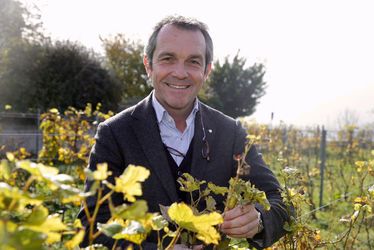 Ludovic Messiers, créateur de champagne normand : "Il faut de la patience et de l'humilité"