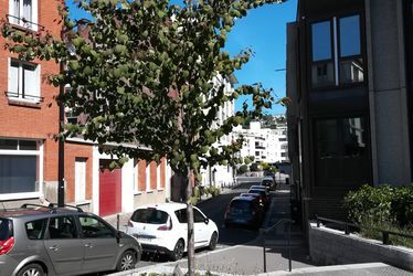 Arbre au caramel, rue Jules Ancel