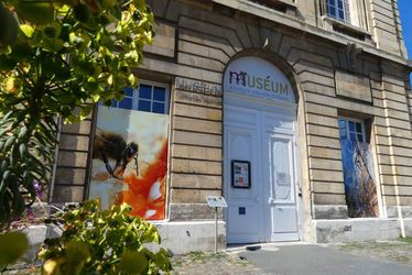 museum-histoire-naturelle