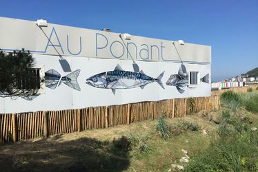 Comme Teuthis sur le restaurant de la plage Au Ponant, 18 autres artistes havrais exposent à la plage pour Un Été au Havre