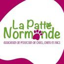 Patte Normande