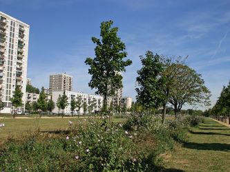 Promenade de Caucriauville