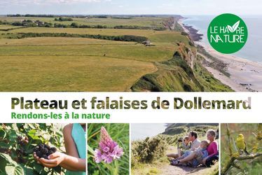Le Havre Nature - Concertation Dollemard : Plateau et falaise de Dollemard, rendons-les à la nature !