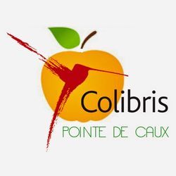 Colibris 76 pointe de caux