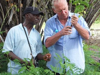 Le Havrais Eric Lemétais primé par l'ONU lors de la COP21 à Paris pour son projet ingénieux et durable "Plantons utile" lancé en Afrique de l'Ouest
