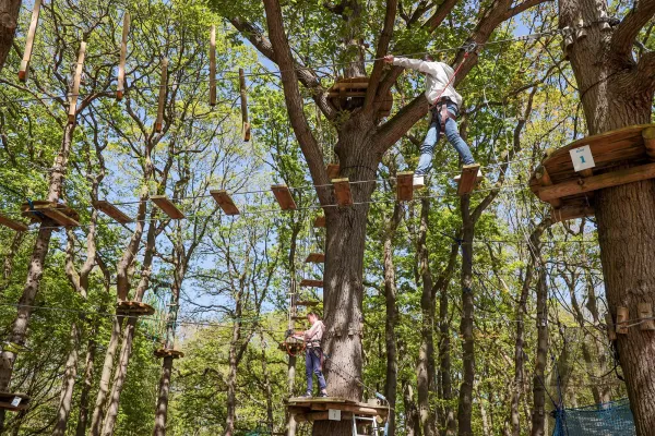 Accrobranche avec les centres de loisirs