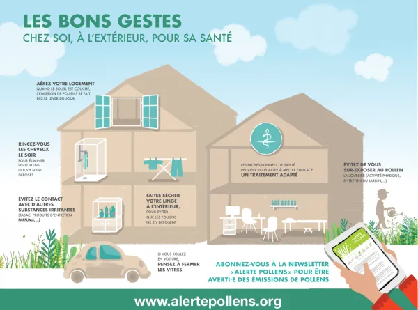 Les bons gestes à adopter en cas d'allergie au pollen