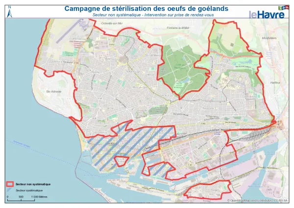 Campagne de stérilisation des œufs de goélands - Carte des secteurs non systématiques