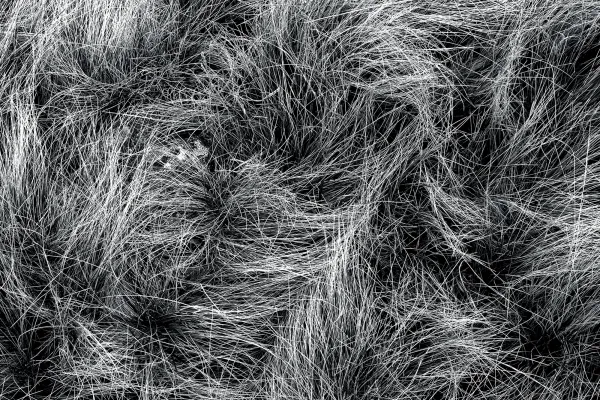 Cheminer avec les herbes