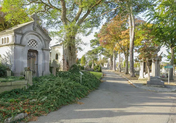 Le cimetière Sainte Marie