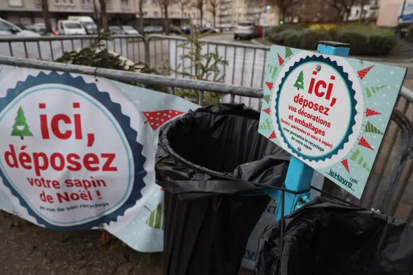 Collecte et recyclage des sapins de Noël