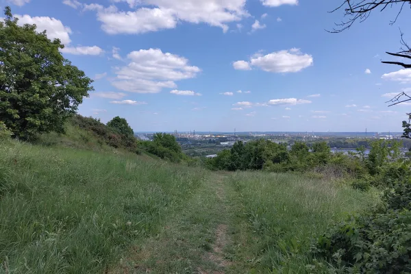 Coteaux calcaires de Caucriauville