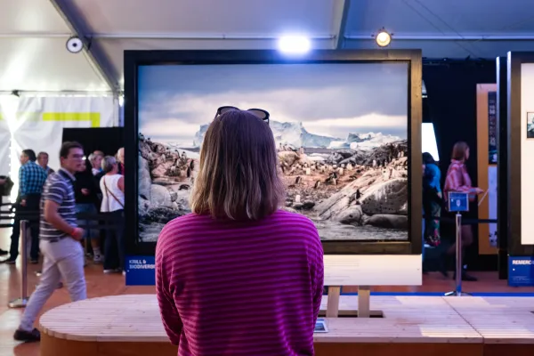 Festival Art Explora