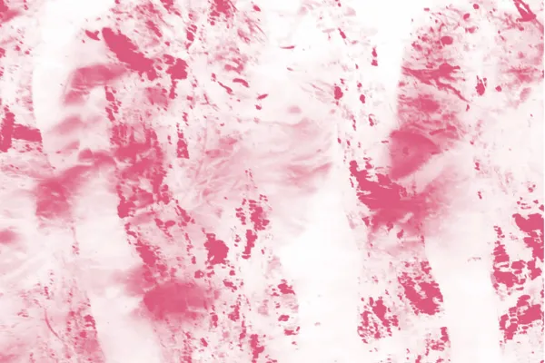 La Criée des Poètes 2026