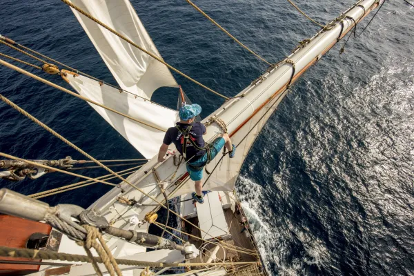 Les Grandes Voiles Du Havre 2025