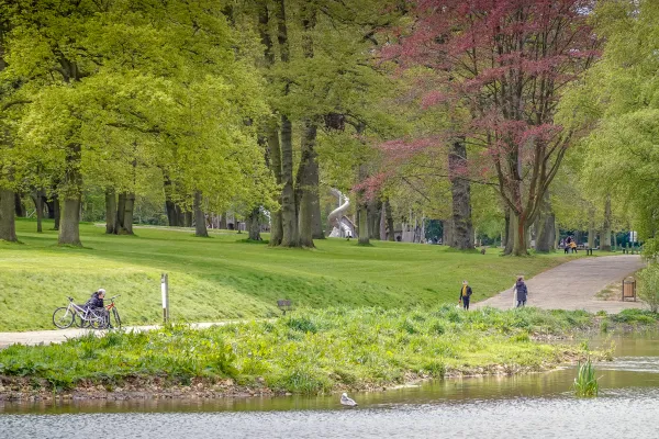 La lisière de la forêt de Montgeon