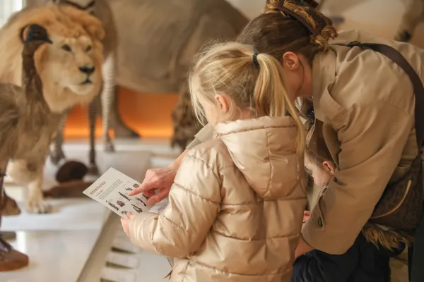 Weekend de réouverture du Muséum d'histoire naturelle