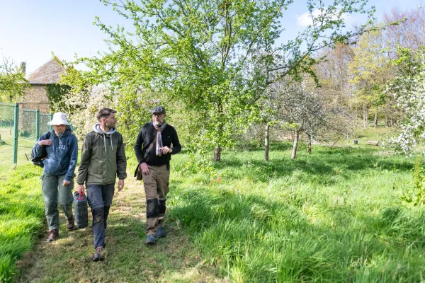 Création de passages favorisant la circulation des hérissons dans les jardins, opération Piqu'en ville