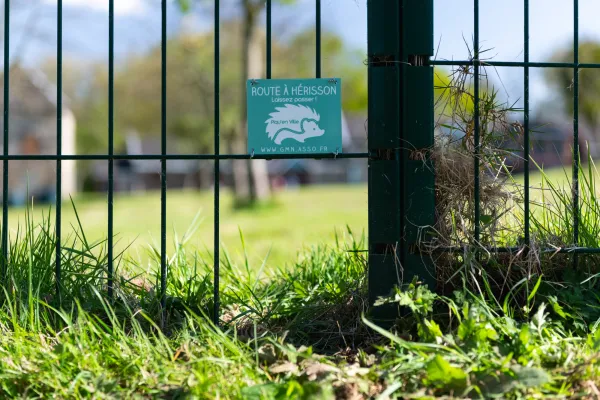 Passage favorisant la circulation des hérissons dans les jardins, opération Piqu'en ville