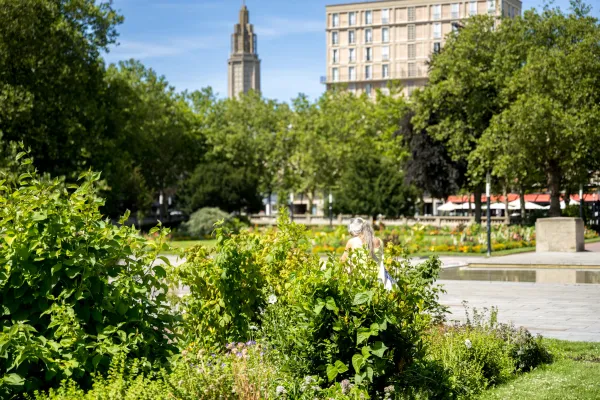 La cueillette encouragée dans le jardin potager de l'Hôtel de Ville