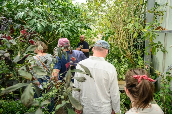 Visite des serres des Jardins suspendus