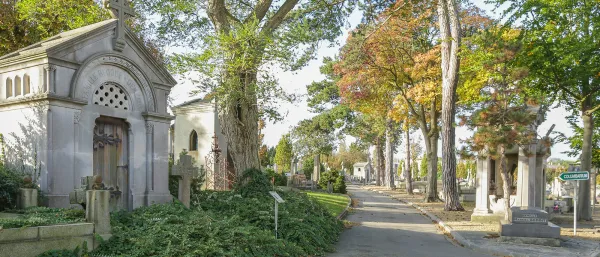 Le cimetière Sainte Marie