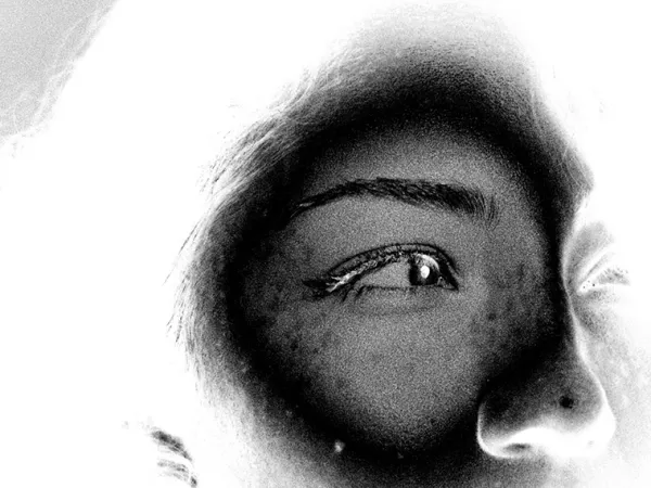 Les Révélations - les coulisses de l'image animée