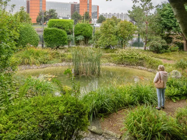Le jardin japonais