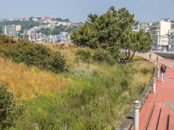 Les jardins de la plage