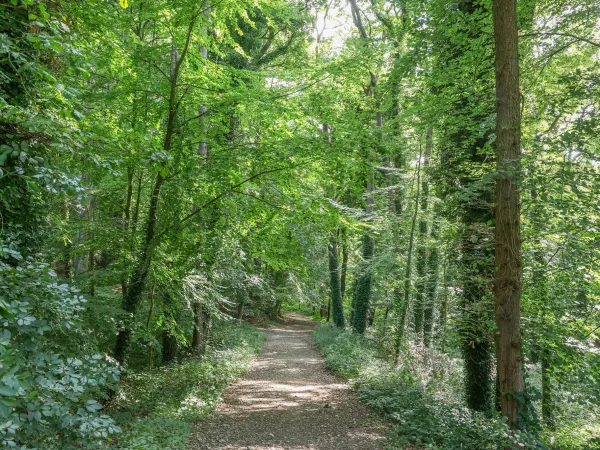 Le val Rainette