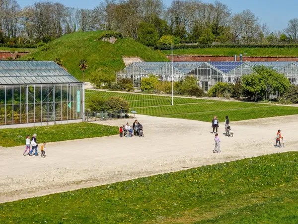 Les jardins suspendus