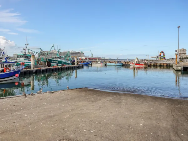 Le port de pêche