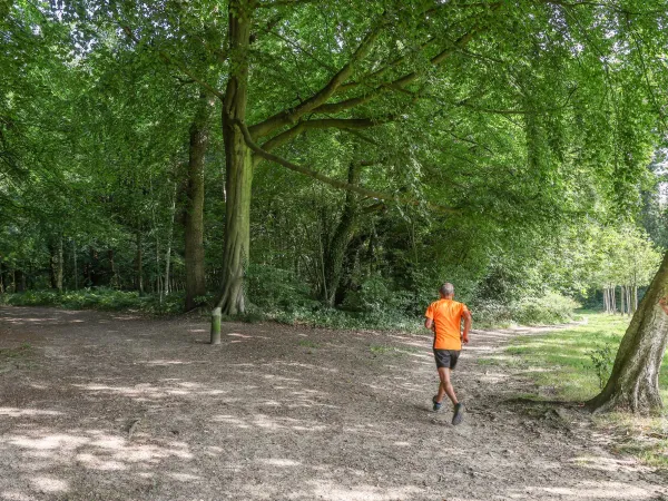Croisement du chemin de la Clairière