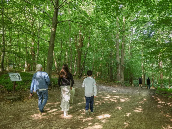 Le croisement de la sente au Loup