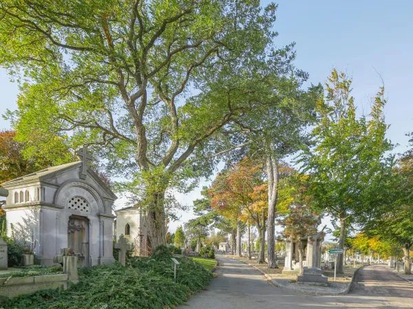 Le cimetière Sainte Marie