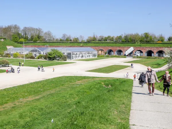 Les jardins suspendus