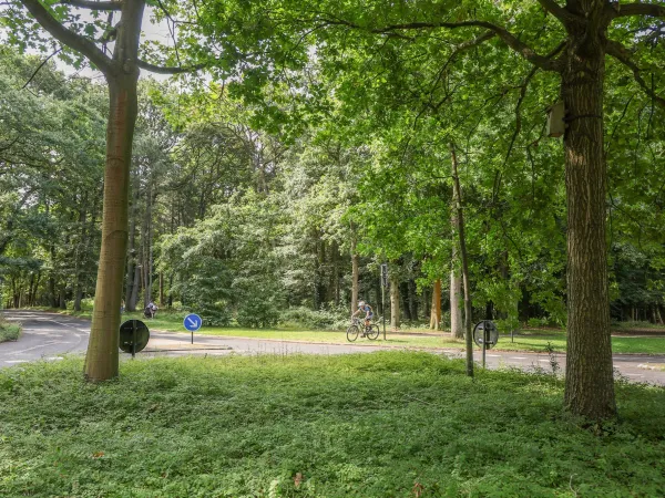 L'entrée cimetière nord