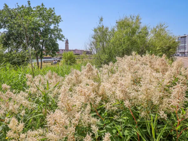 Les jardins fluviaux