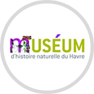 museum_histoire_naturel_havre.png